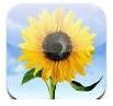 Photo app iOS