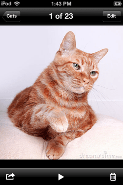 Photo Jan 20, 1 43 44 PM