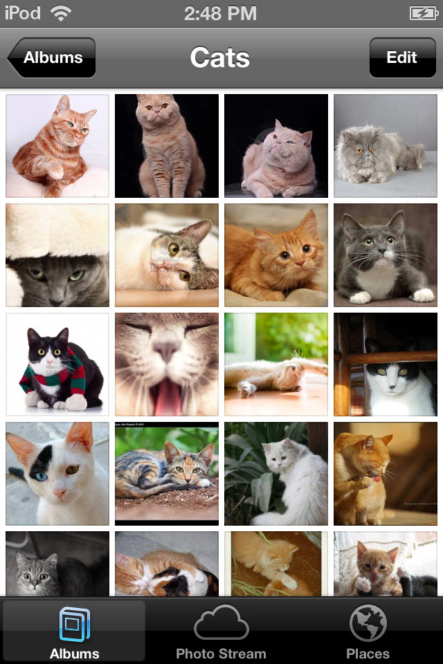 Photo Jan 20, 2 48 58 PM