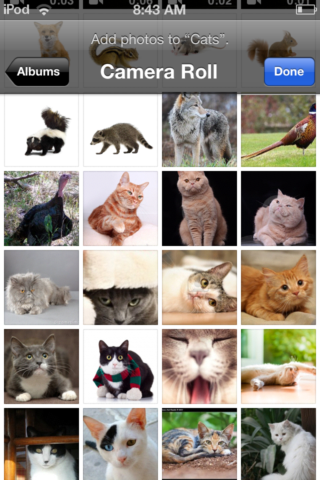 Photo Jan 20, 8 43 55 AM