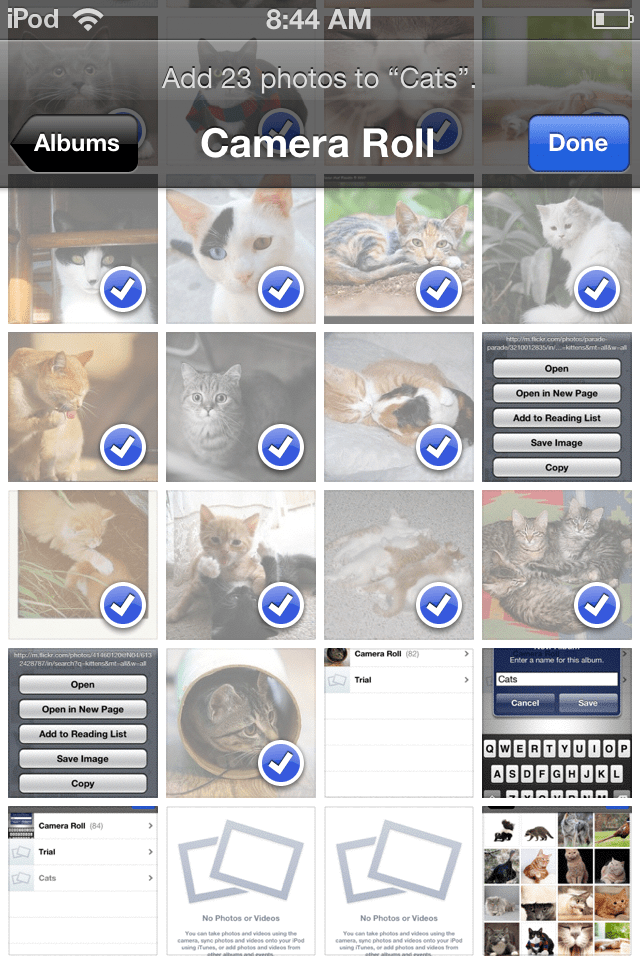 Photo Jan 20, 8 44 22 AM