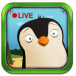 Pocket Zoo icon