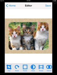 01a9a87f120d814da23ba2401a71d75a0eaa37ca56