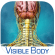 Brain and Nervous System Anatomy icon iOS