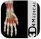 Hand and Wrist Pro III icon